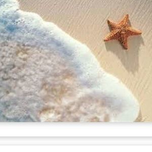 Meet your Posher, Lam